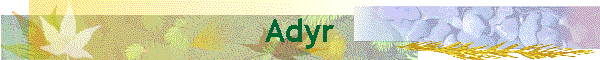 Adyr