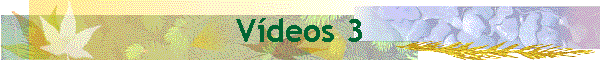 Vdeos 3
